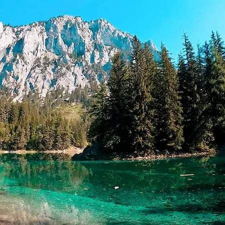 Gruener & Residenzen Oberort