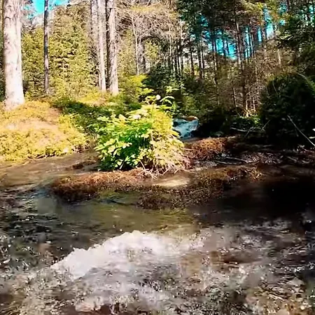 Gruener & Residenzen *