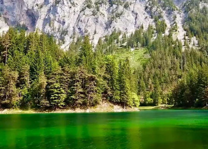 Villa Gruener & Residenzen