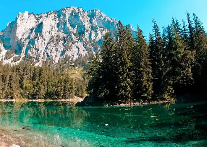 Gruener & Residenzen Oberort