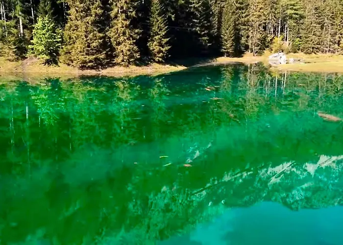 Villa Gruener & Residenzen Oberort