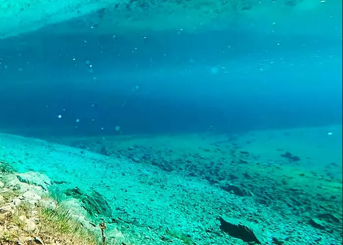 Gruener & Residenzen Villa Oberort